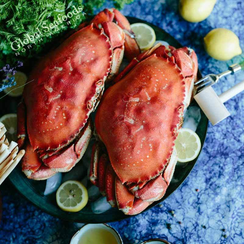 Premium Cooked Dungeness Crab for Sale - Whole, Nutritious, and Ready-to-Eat - Image 3