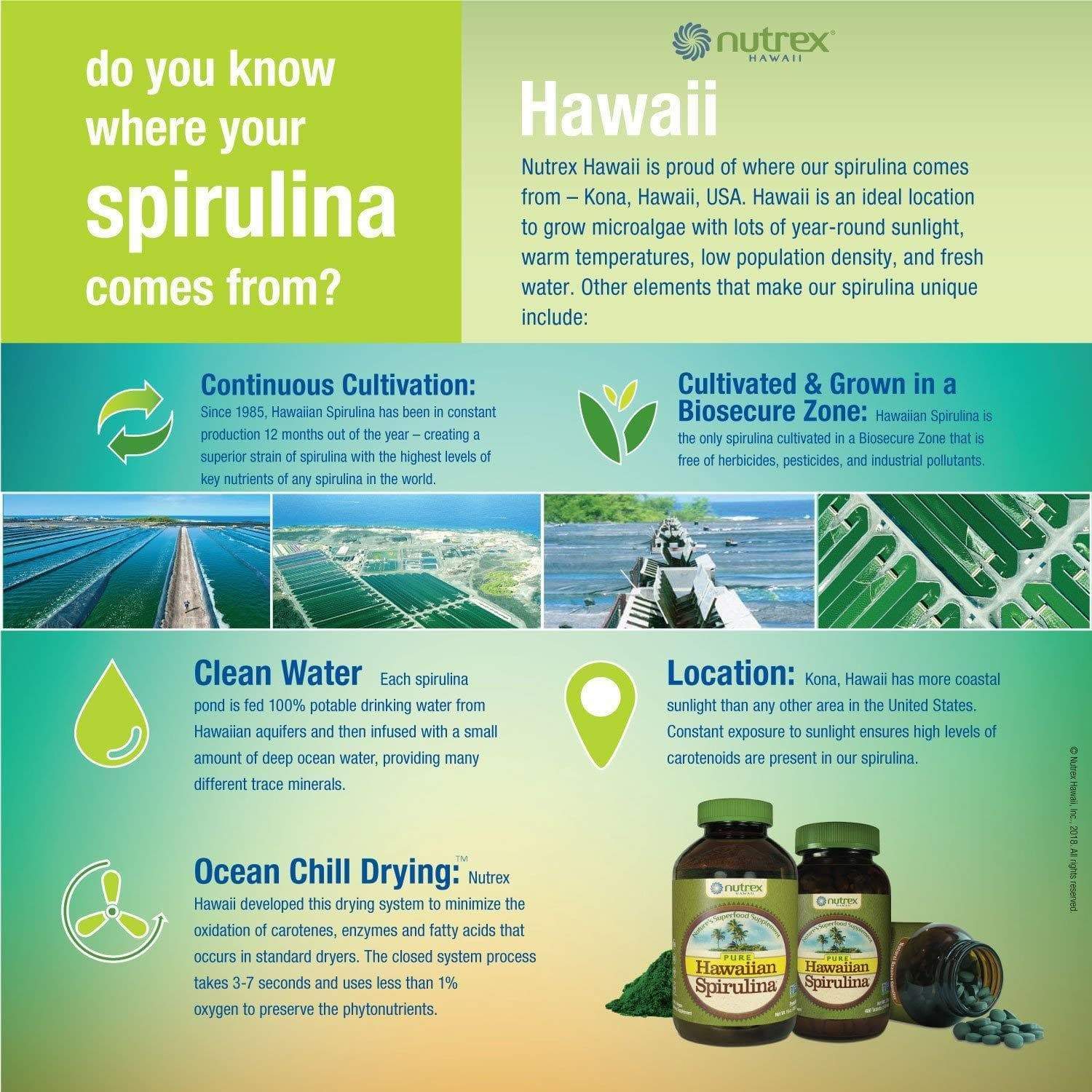Hawaiian Spirulina Powder  Grown in Hawaii - Image 6