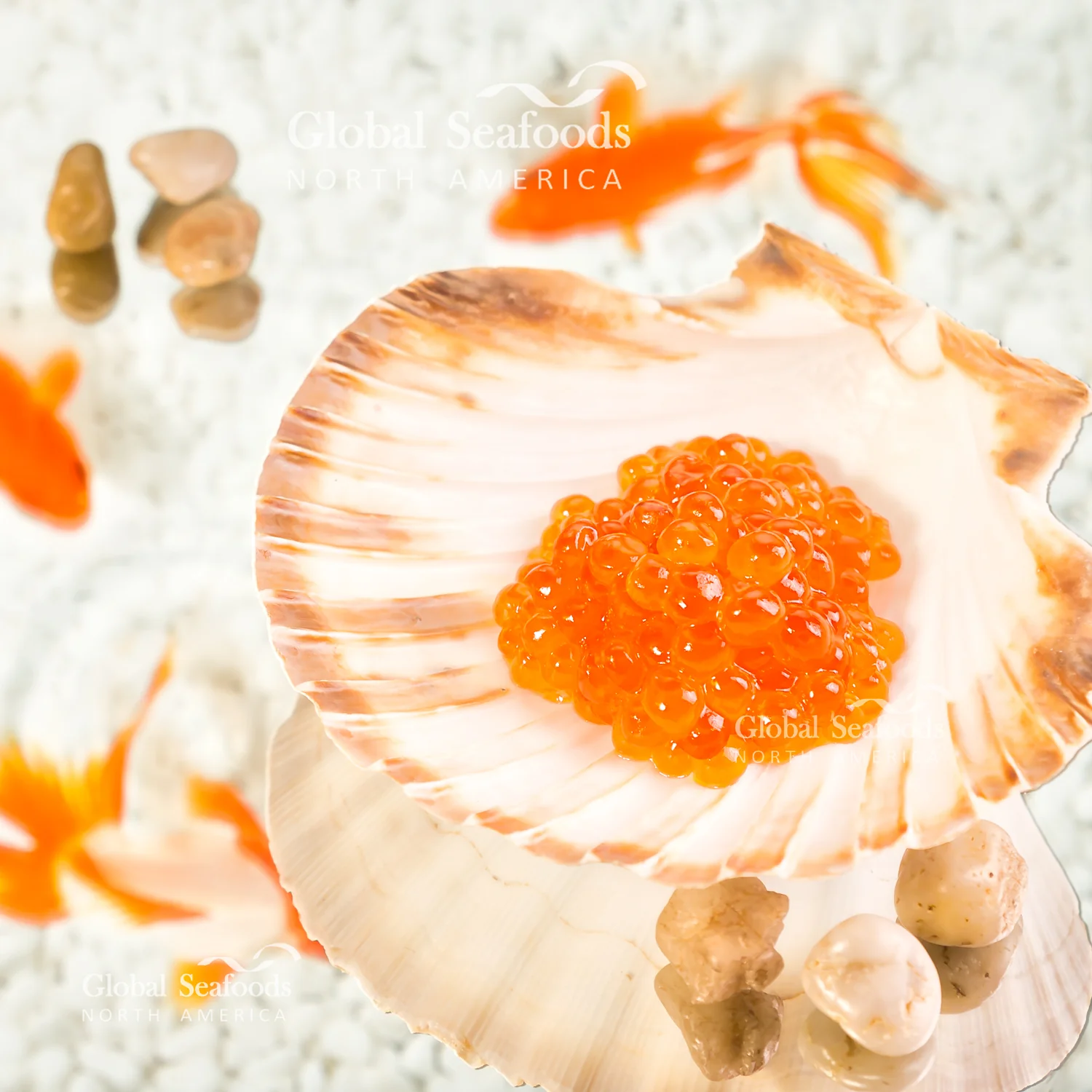 King Salmon Caviar - Premium Quality at Competitive Prices - Image 3